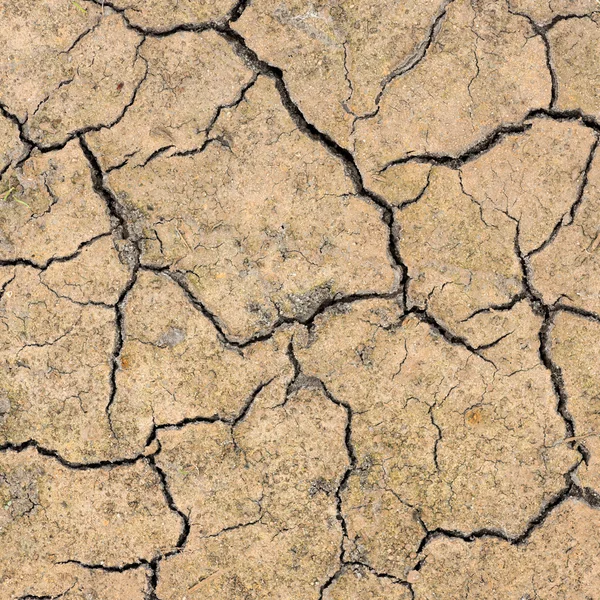 Cracked dry earth — Stock Photo, Image