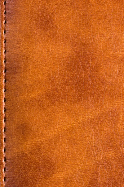 Skin book cover texture — Stock Photo, Image