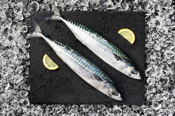 Färsk fisk på isen på en svart sten bordsskiva Visa — Stockfoto