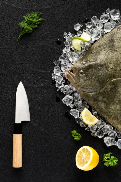 Masa üstü görünümü taze kalkan balığı buz bir siyah taş — Stok fotoğraf