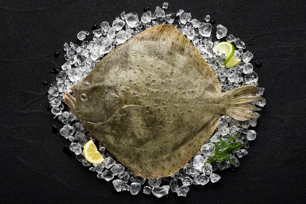 Pesce rombo fresco su ghiaccio su un tavolo di pietra nera vista dall'alto — Foto Stock