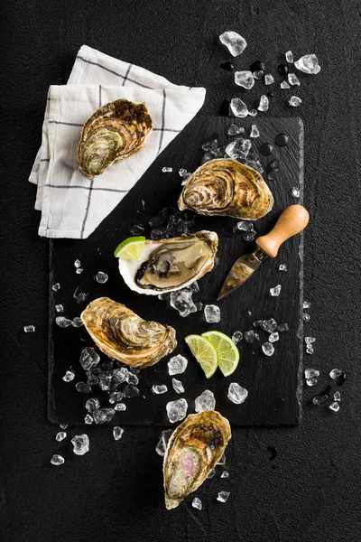 Siyah bir taş üzerinde taze istiridye üstten görünüm plaka