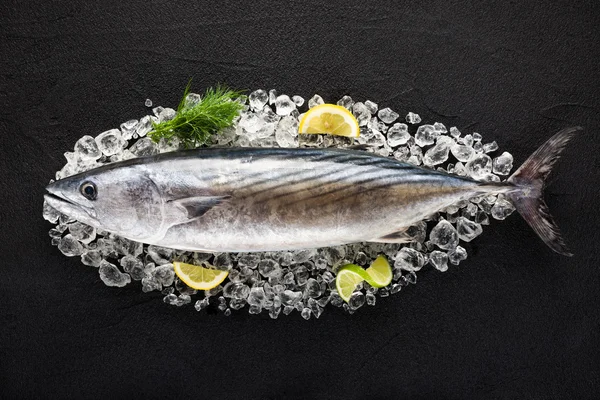 Tuna fish on ice on a black stone table top view — Stock Photo, Image
