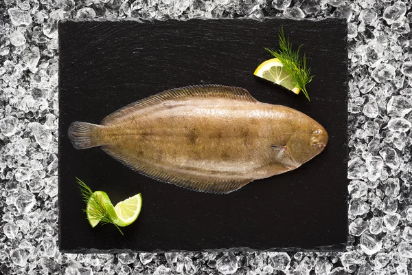 Sogliola pesce su ghiaccio su un piatto di pietra nera vista dall'alto — Foto Stock