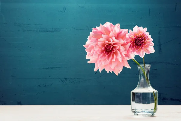 Cam vazo içinde sunulan güzel pembe çiçekler — Stok fotoğraf