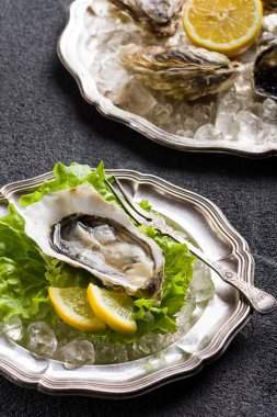 Taze istiridye yemeye hazır plaka üzerinde