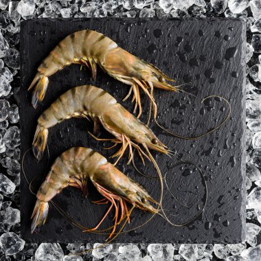 Fresh tiger shrimp on ice on a black stone table top view clipart