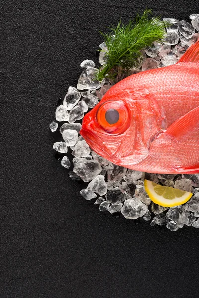 Red palometa fish on ice on a black stone table top view — Stock Photo, Image