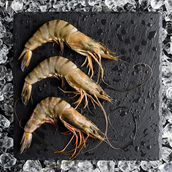 Camarão tigre fresco no gelo em uma mesa de pedra preta vista superior — Fotografia de Stock