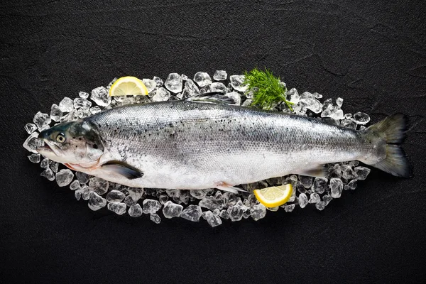 Pescado de salmón e ingredientes sobre hielo sobre una mesa de piedra negra vi — Foto de Stock