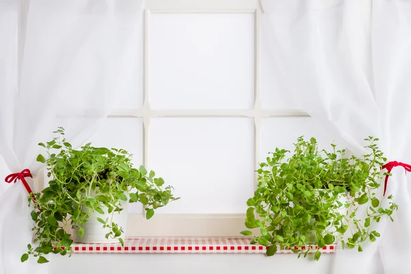 Ventana de la cocina y hierbas en el alféizar de la ventana, fondo — Foto de Stock