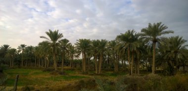 Sunrise Irak kırsal kesimde