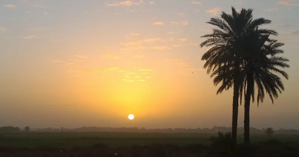 Sunrise in the Iraqi countryside — Stock Photo, Image