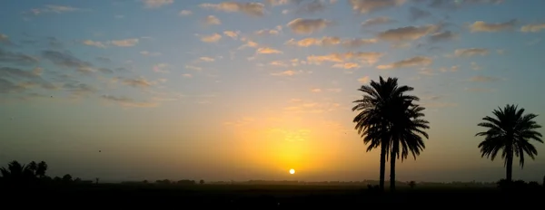Схід сонця в Іраку сільській місцевості Стокова Картинка