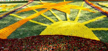 Bağdat'ta Çiçek Galerisi