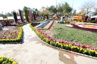 Bağdat'ta Çiçek Galerisi