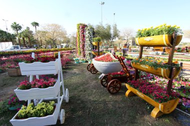 Bağdat'ta Çiçek Galerisi