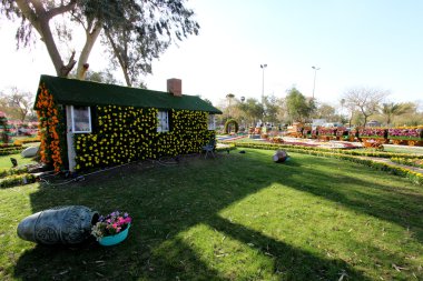 Bağdat'ta Çiçek Galerisi