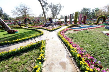 Bağdat'ta Çiçek Galerisi