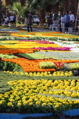 Bağdat'ta Çiçek Galerisi