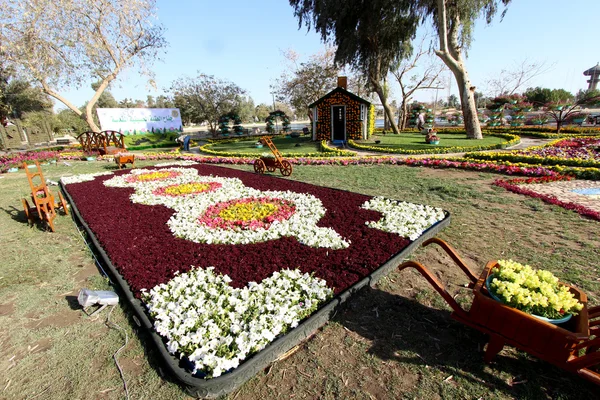 Bağdat'ta Çiçek Galerisi