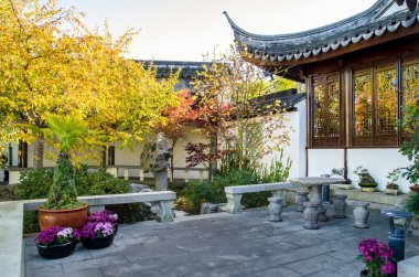 Dunedin Çin Bahçesi Yeni Zelanda.