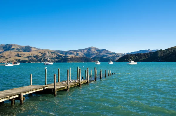 Steiger in Akaroa, Zuid-eiland van Nieuw-Zeeland. — Stockfoto