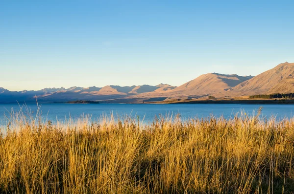 Tekapo-See in Neuseeland — Stockfoto