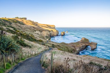 Pathway down to the Tunnel Beach which is located at Dunedin,New Zealand clipart