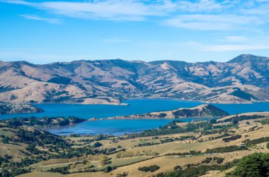 Akaroa Limanı görünümünden bir erozyona uğramış volkanik manzara banka Yarımadası'nın kalbine tepe.