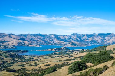 Akaroa Limanı görünümünden bir erozyona uğramış volkanik manzara banka Yarımadası'nın kalbine tepe.
