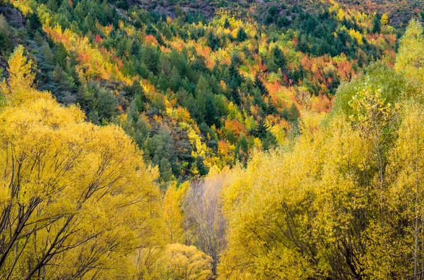 Autumn landscape of Arrowtown in New Zealand — Stock Photo, Image