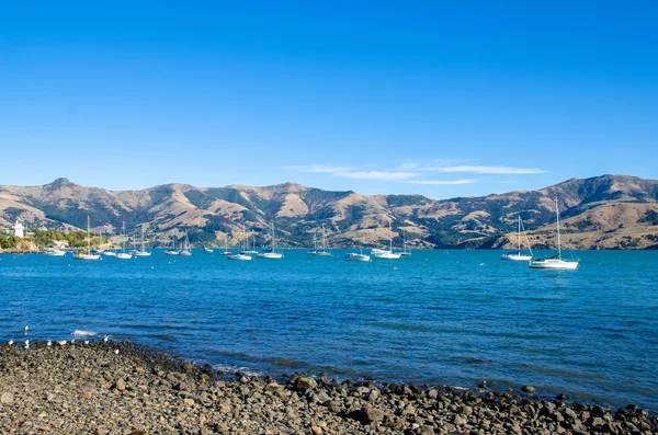 Akaroa, amely Új-Zéland déli szigetén található. — Stock Fotó