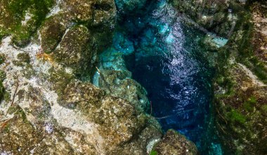 Hamurana Springs en derin doğal tatlı su bahar Yeni Zelanda Kuzey Adası..