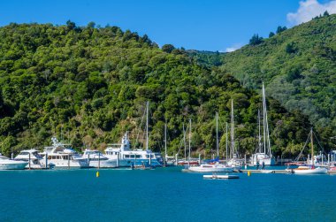 Bay Picton, Yeni Zelanda, Güney Adası yatlar.