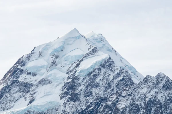 Kochen in Neuseeland — Stockfoto