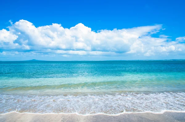 Temiz ve sakin tropikal plaj