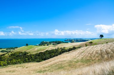 Shakespeare Bölge Parkı, Auckland bölge, Yeni Zelanda