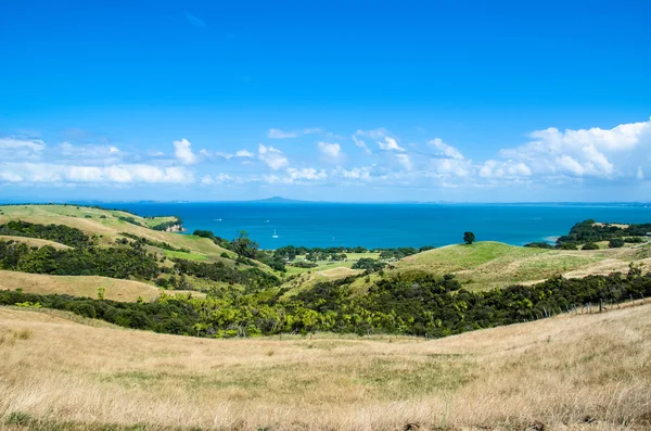 Shakespear regionális Park, Auckland régióban, Új-Zéland — Stock Fotó