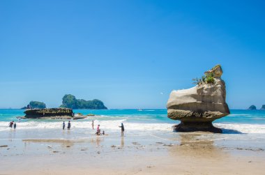 Katedral Cove'da Coromandel Yarımadası üzerinde North Island Yeni Zelanda Cumhuriyeti. 