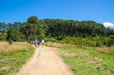 Yeni Zelanda North Island Coromandel Yarımadası'nda Katedrali Koyu'nun parça yürürken insanlar.