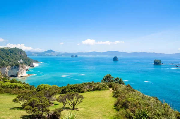 Katedral Cove'da Coromandel Yarımadası üzerinde North Island Yeni Zelanda Cumhuriyeti — Stok fotoğraf