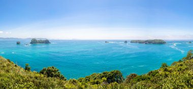 Katedral Cove'da Coromandel Yarımadası üzerinde North Island Yeni Zelanda Cumhuriyeti