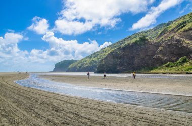 Te Henga (Bethells Beach) Kuzey North Island, Yeni Zelanda Auckland bölgesindeki kıyı bir topluluktur.
