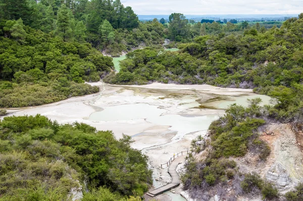 Rotorua, Yeni Zelanda'yer alan WAI-O-Tapu termal Wonderland.