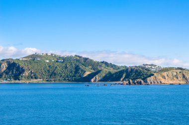 Picton bağlantı noktasından Yeni Zelanda Wellington için yolculuk yaparken Interisander'ın Cook Boğazı feribot görünümünden güzel manzara.