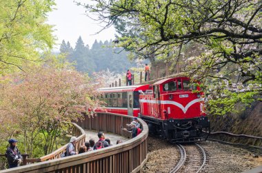 Alishan forest train in Alishan National Scenic Area during spring season. People can seen exploring around it.