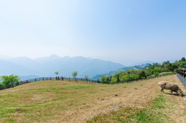 Cingjing çiftlik Nantou, Tayvan en cazip turistik yer biridir.