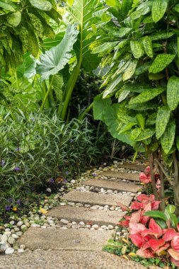 A winding garden path of stepping stones bordered by pebbles, framed by dense tropical leaves and colourful foliage, creating a tranquil, verdant scene perfect for nature and garden design themes.