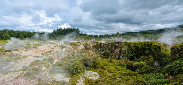 Los Cráteres de la Luna es un paseo geotermal situado justo al norte de Taupo . — Foto de Stock